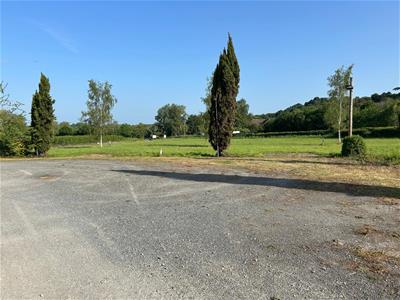 Picture 19